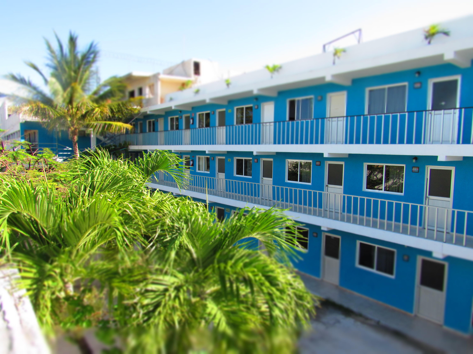 Hotel Blue Coconut Cancun