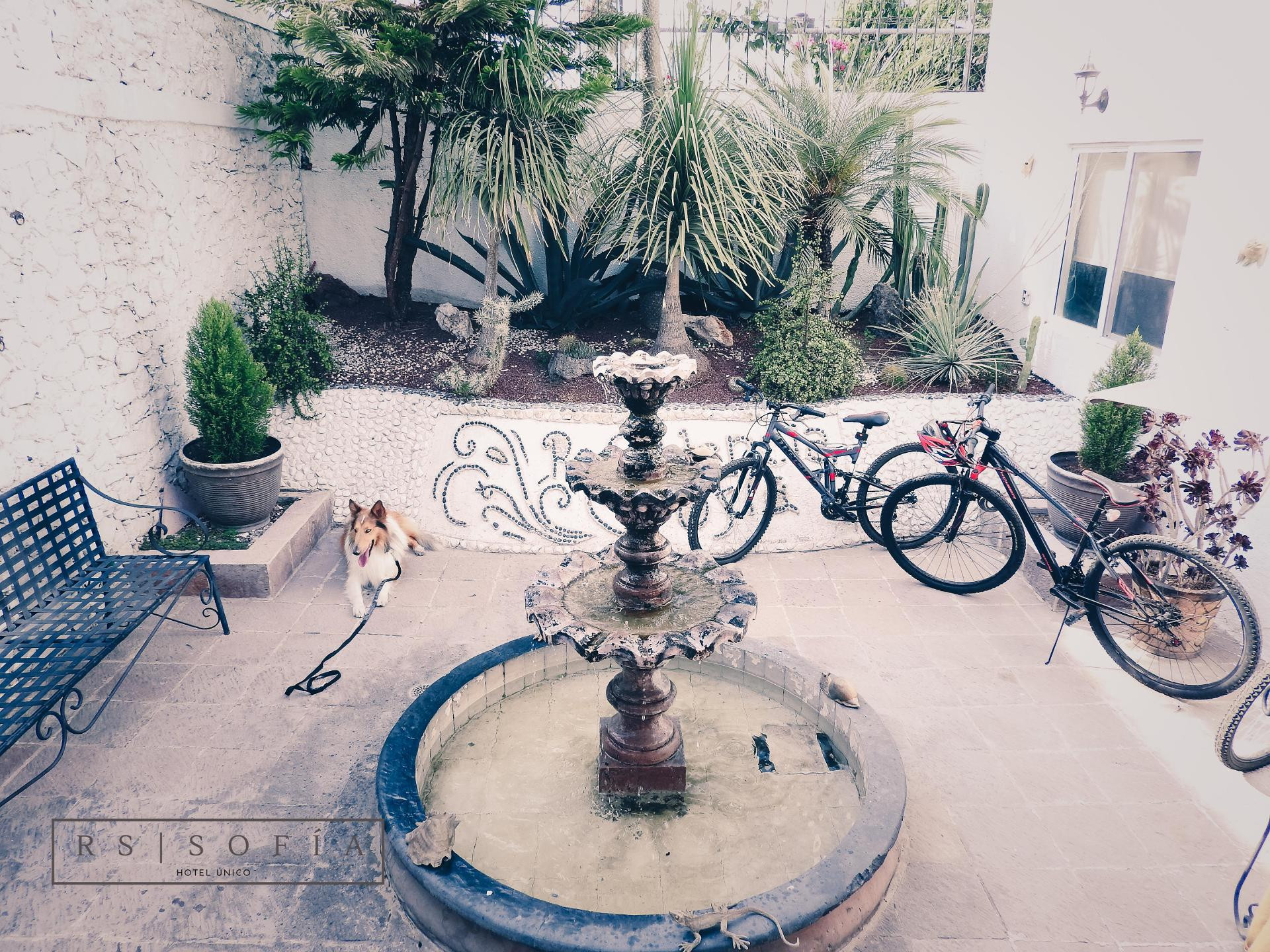image-housing-carousel