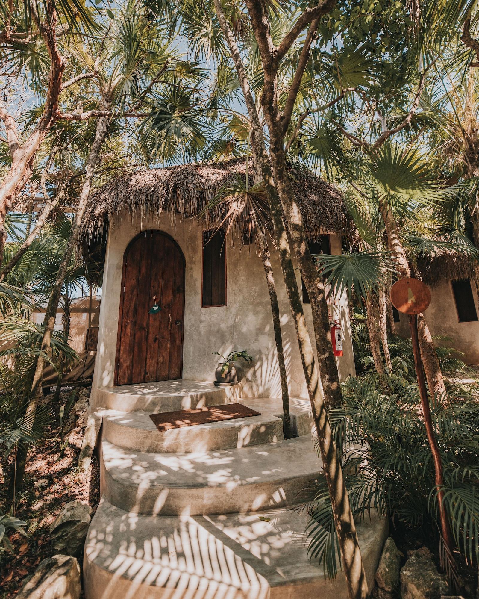 Habitación, vista al océano (Casita)