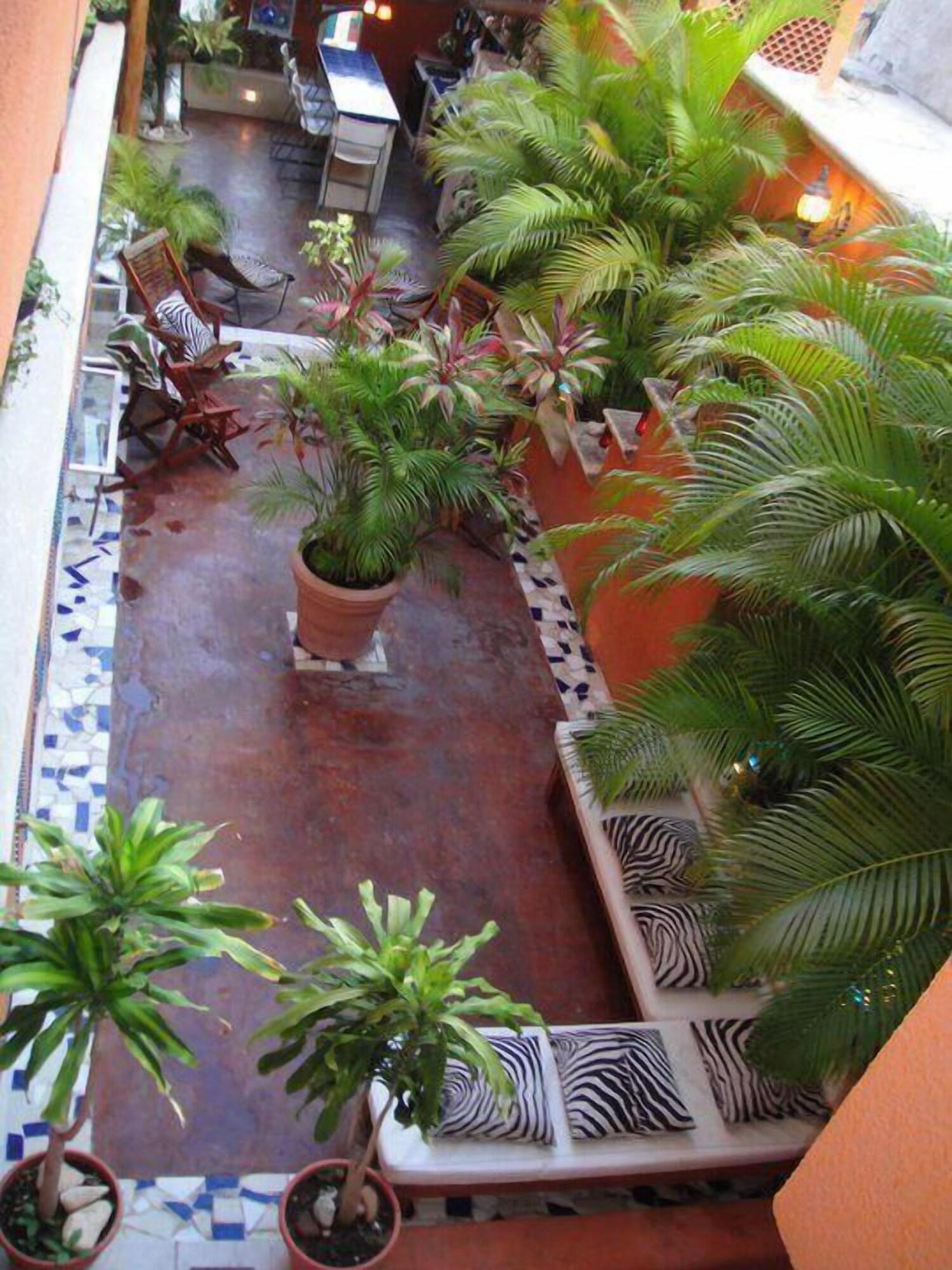 Hostelito Hostal 5