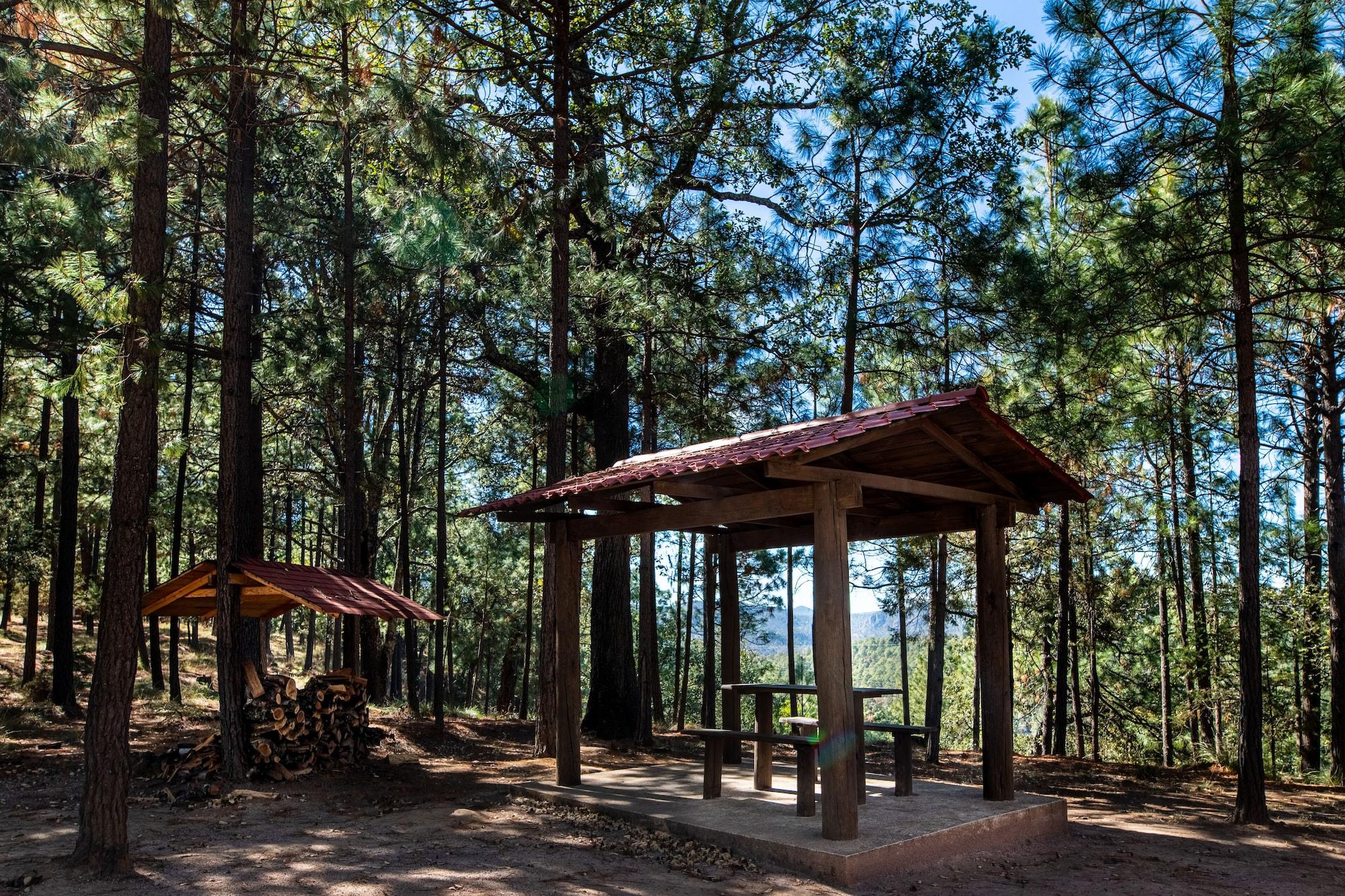 image-housing-carousel