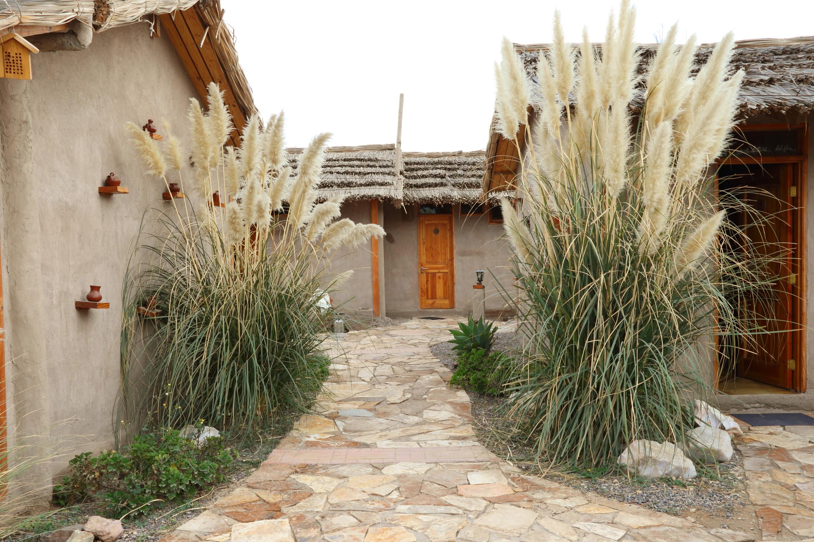 Casas Arenas de Atacama image