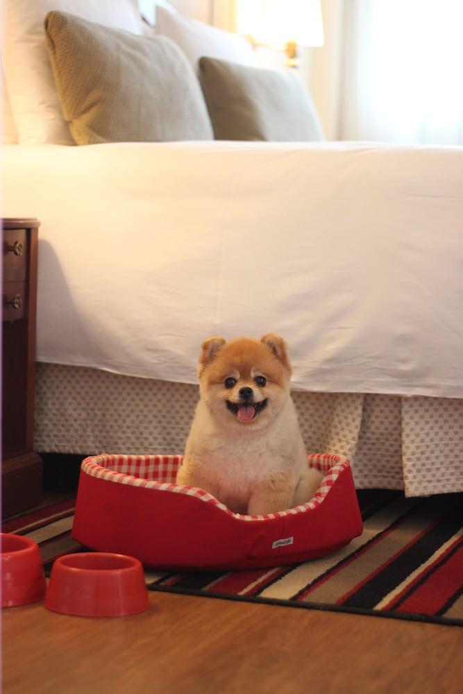 image-housing-carousel