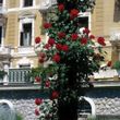 Opatija