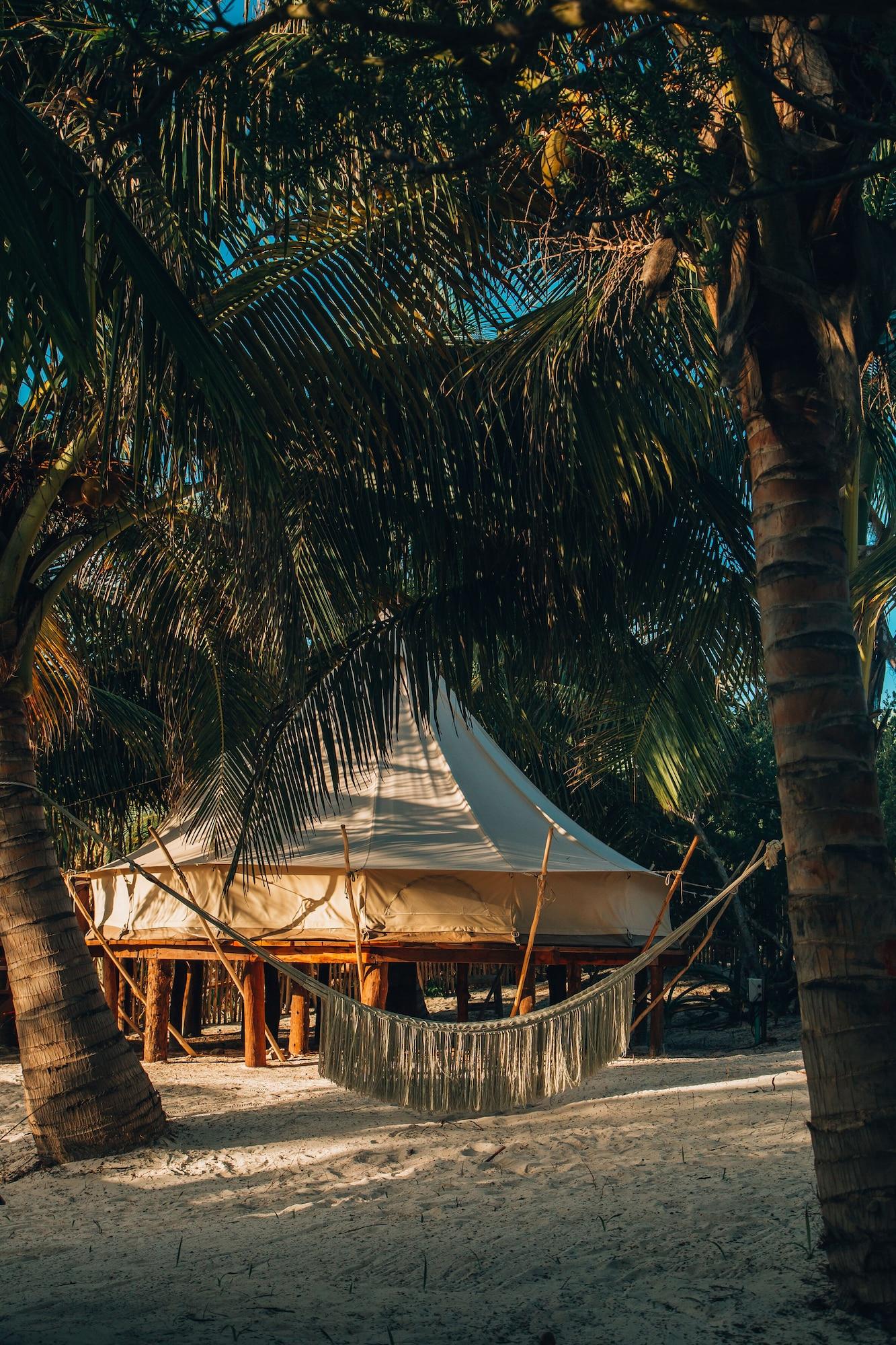 Oceanfront Platform Tent, 1 Queen Bed