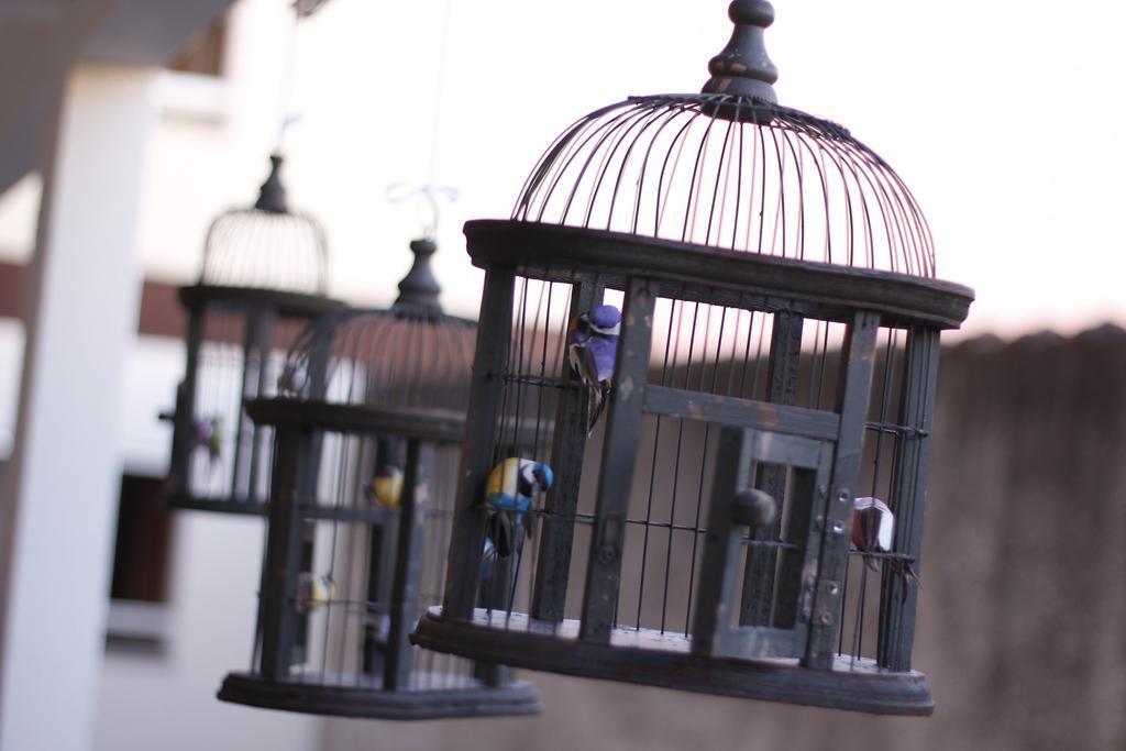image-housing-carousel