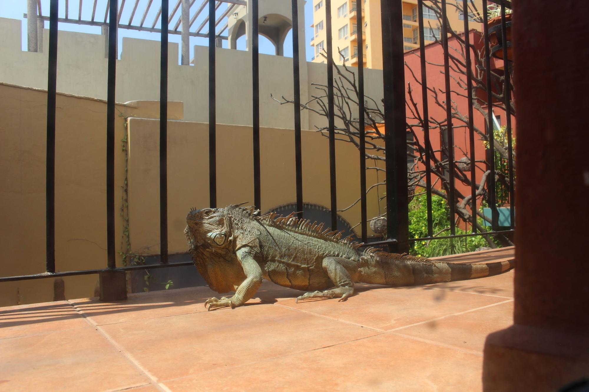 Hotel Casa de Leyendas 5