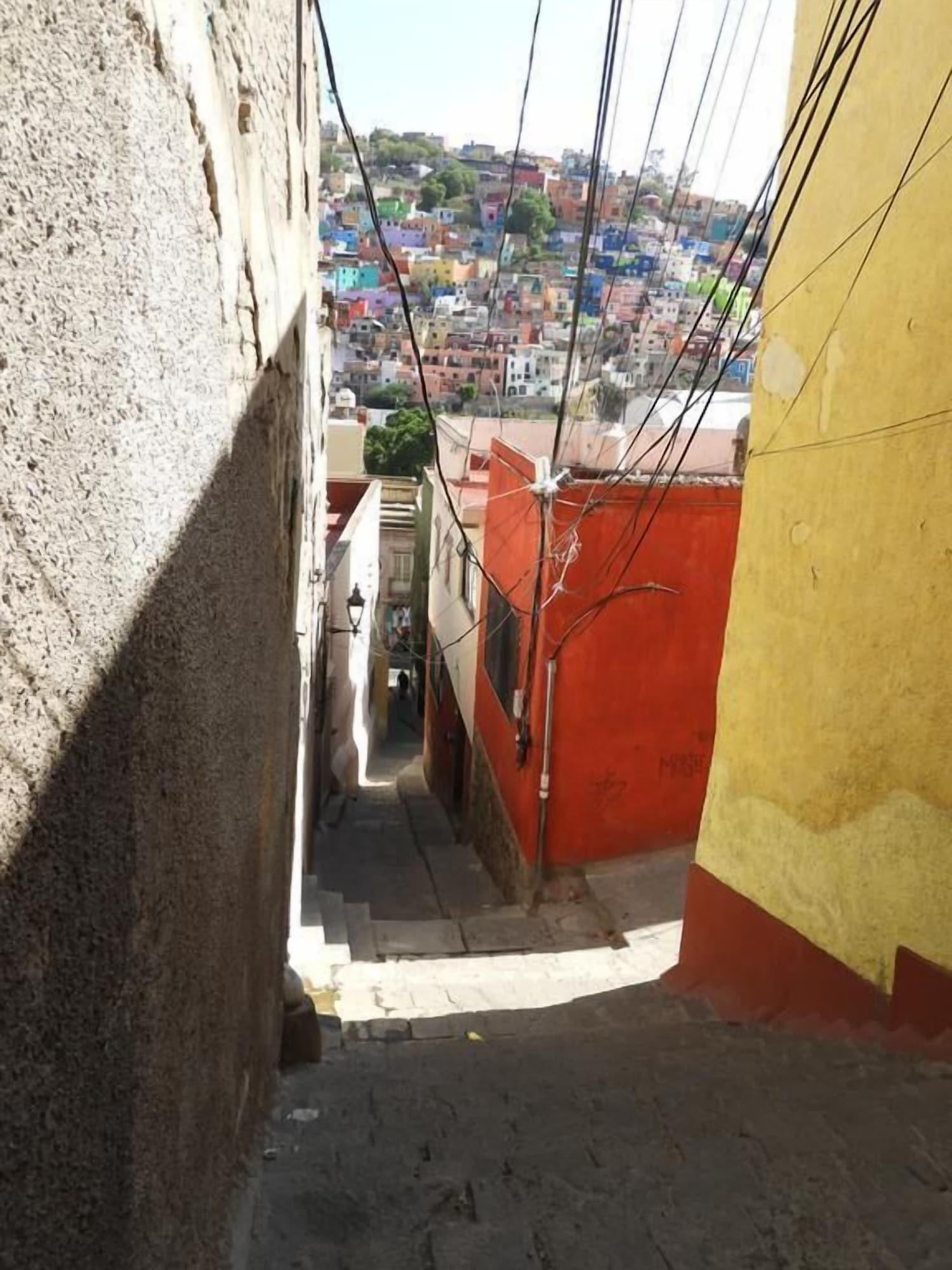 Loteria Panoramic House & Rooftop 4