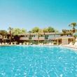Holiday Inn Nikki Bird