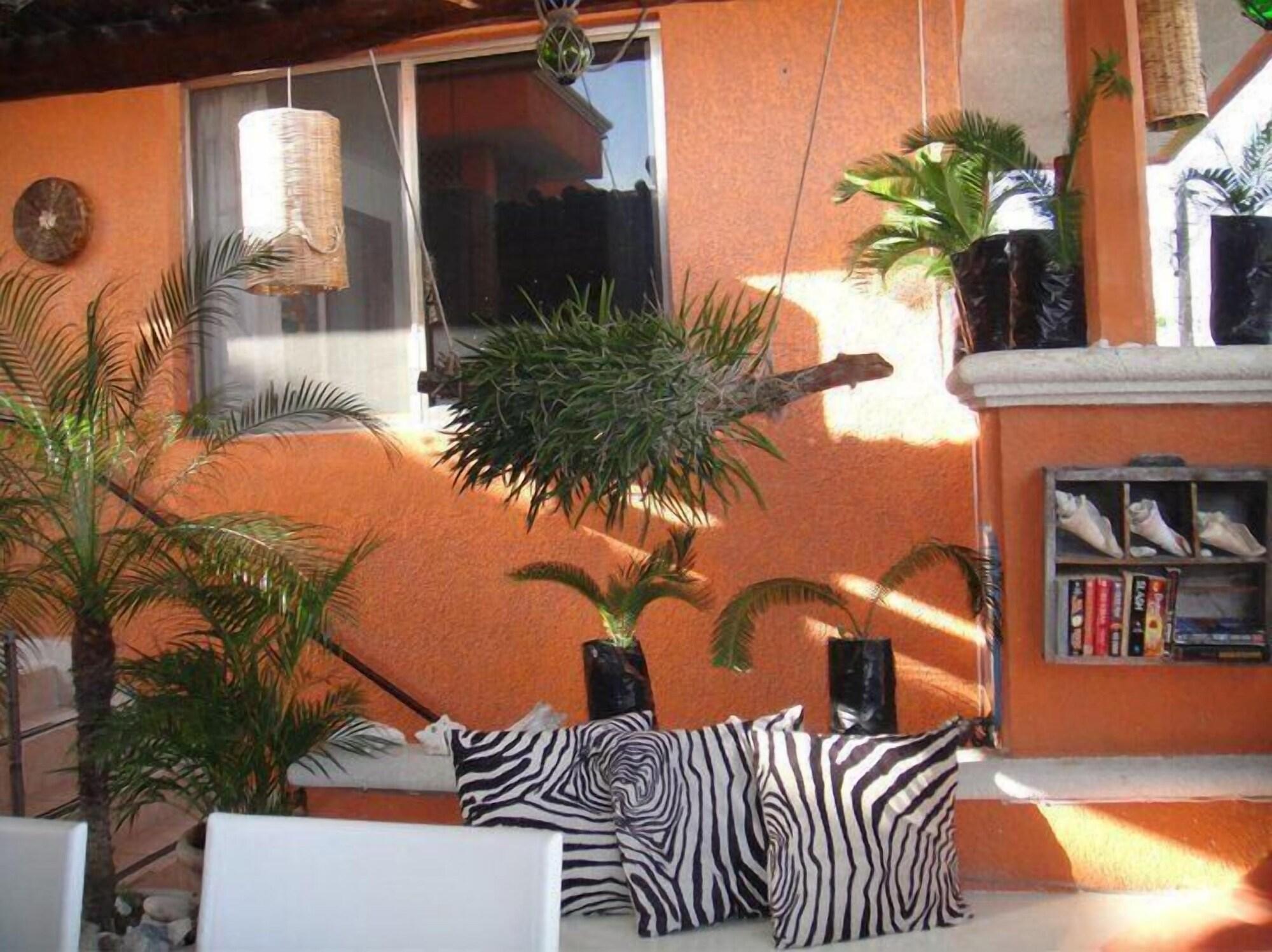 Hostelito Hostal 4
