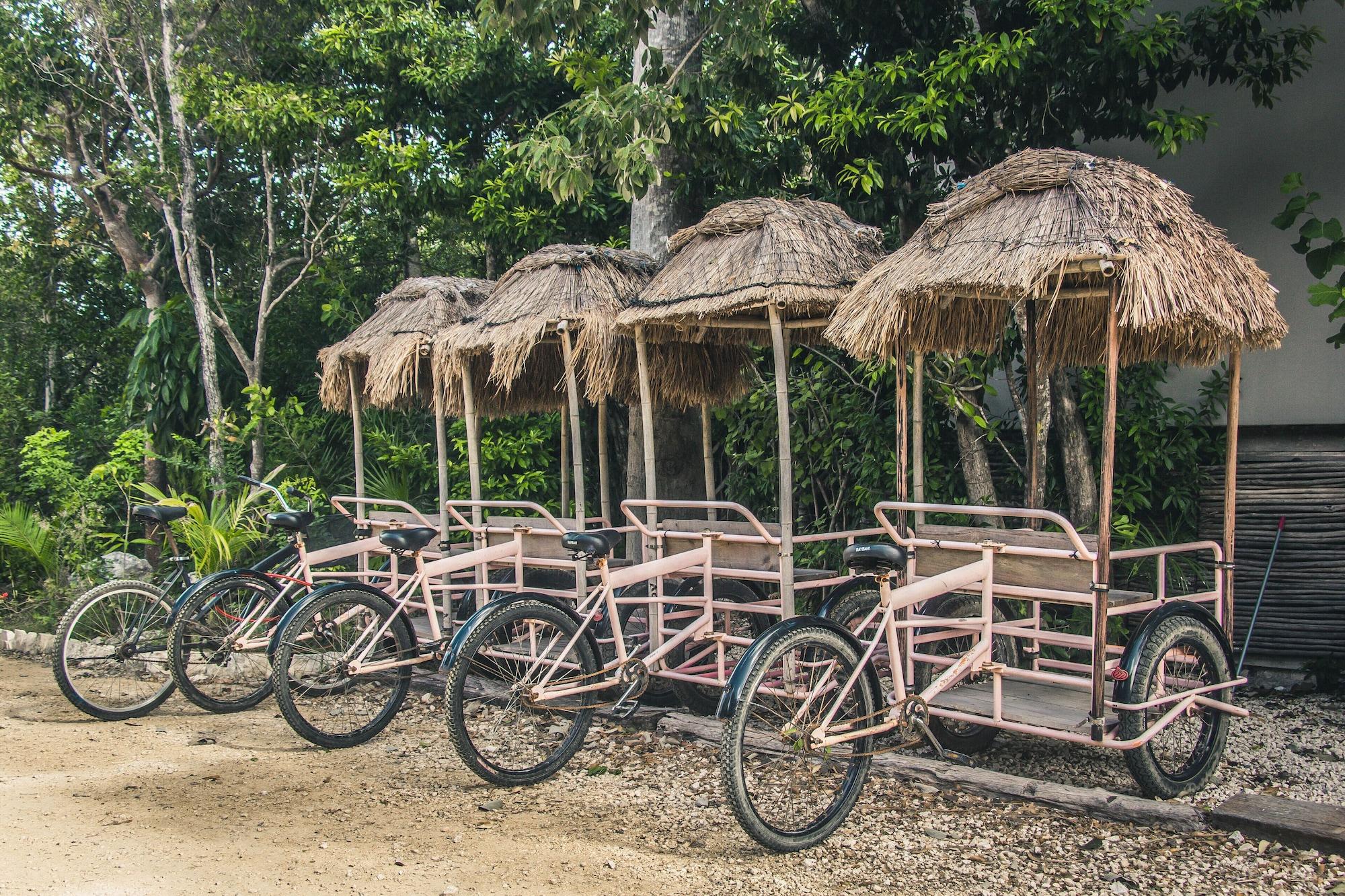 Roc Jungle Tulum