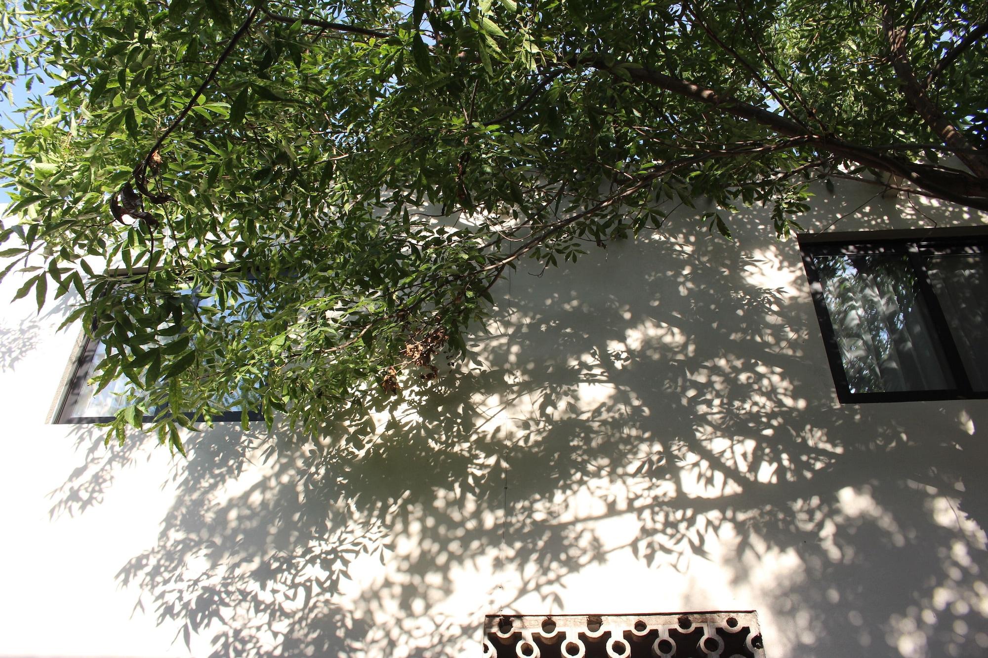 Entre Patios Hotel Boutique 4
