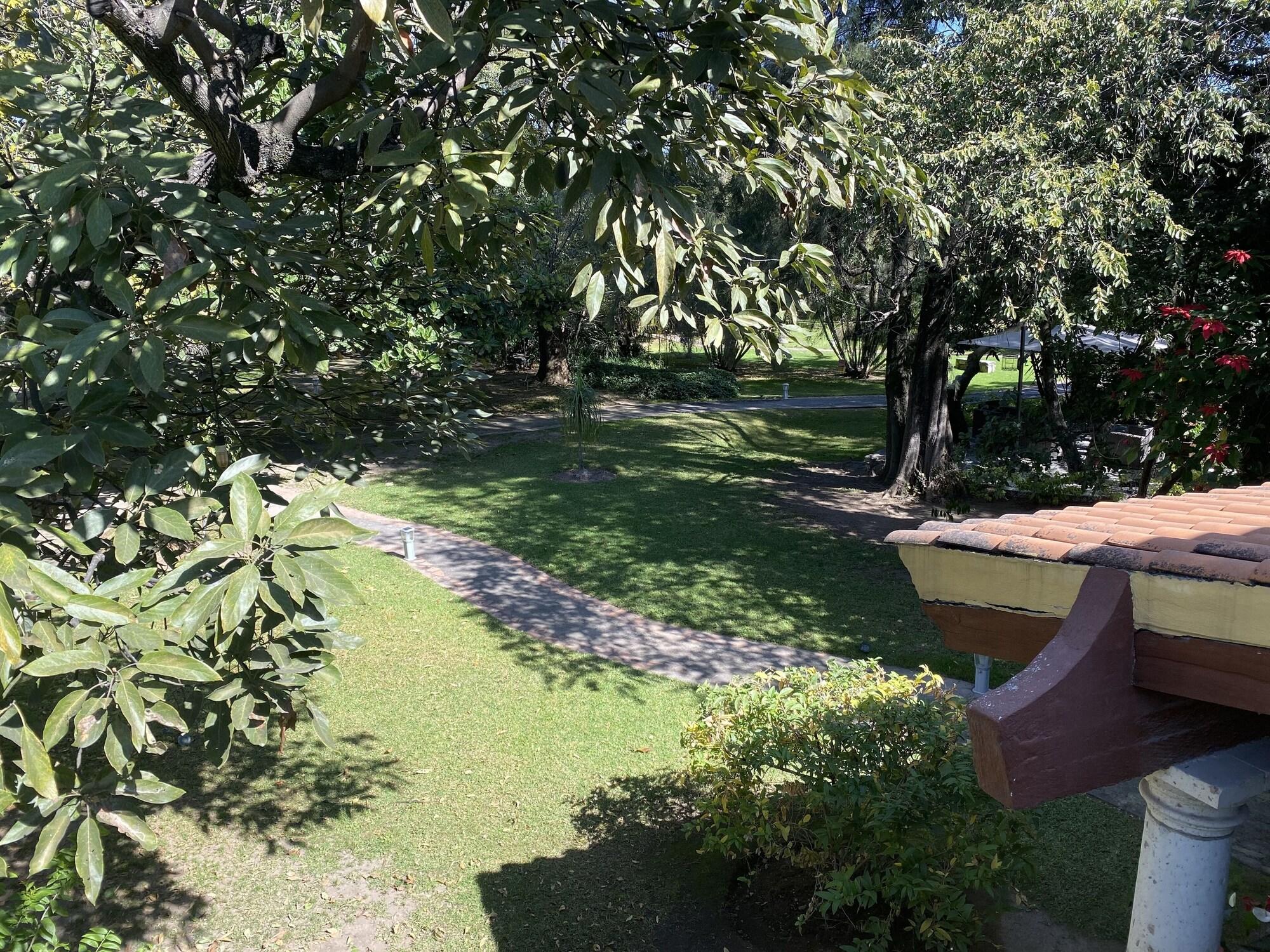 El Jardín De En Medio 6