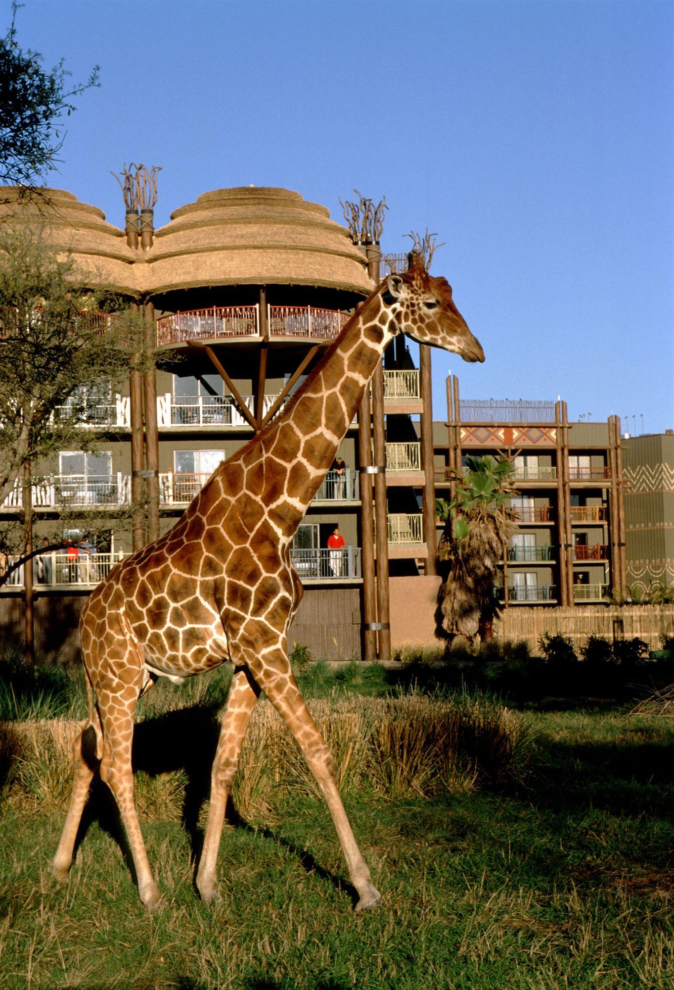 image-housing-carousel