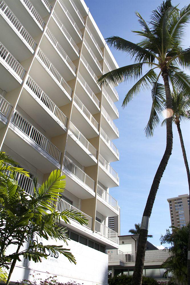 Oasis Hotel Waikiki image