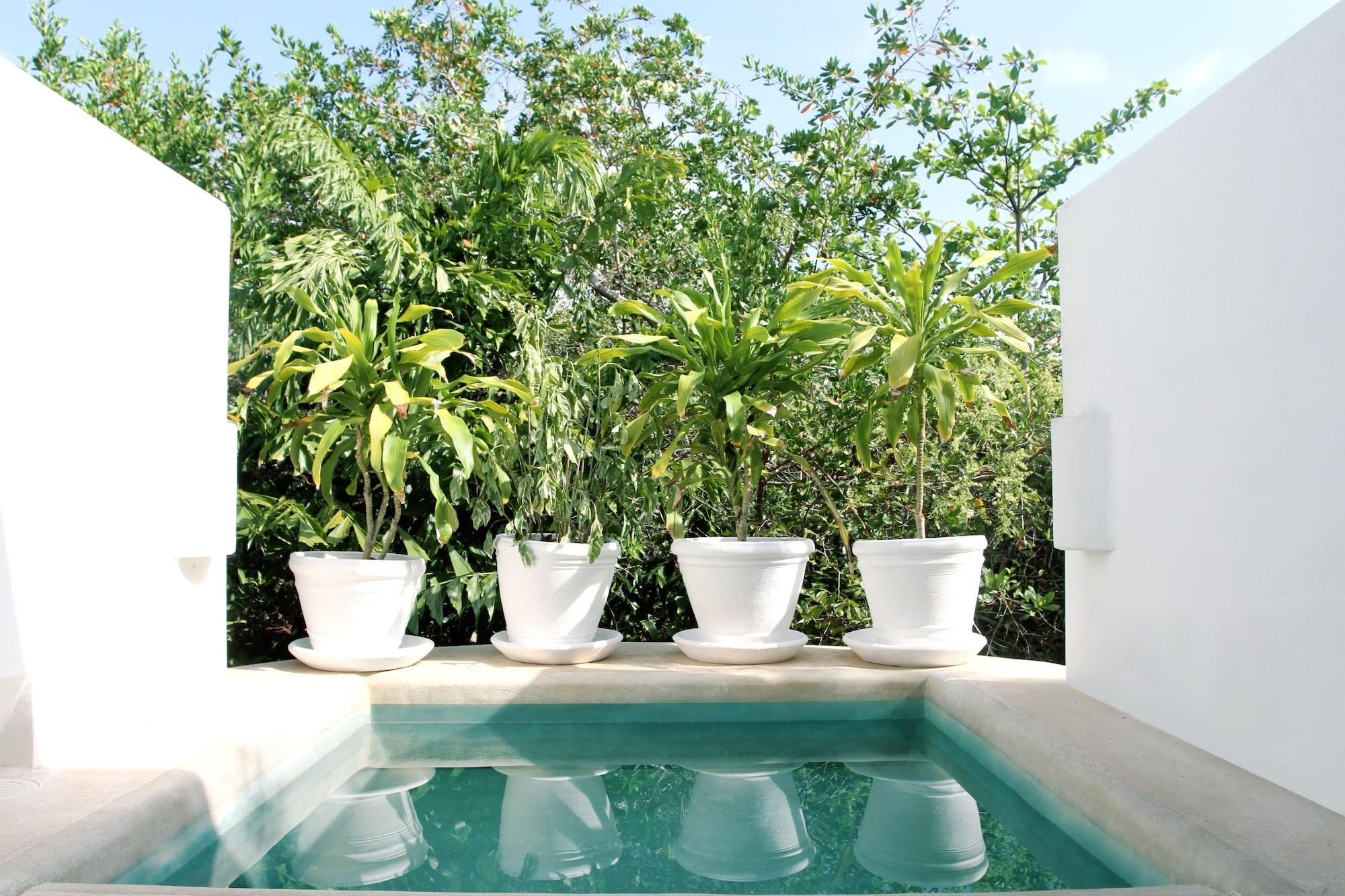 Hotel Esencia 5