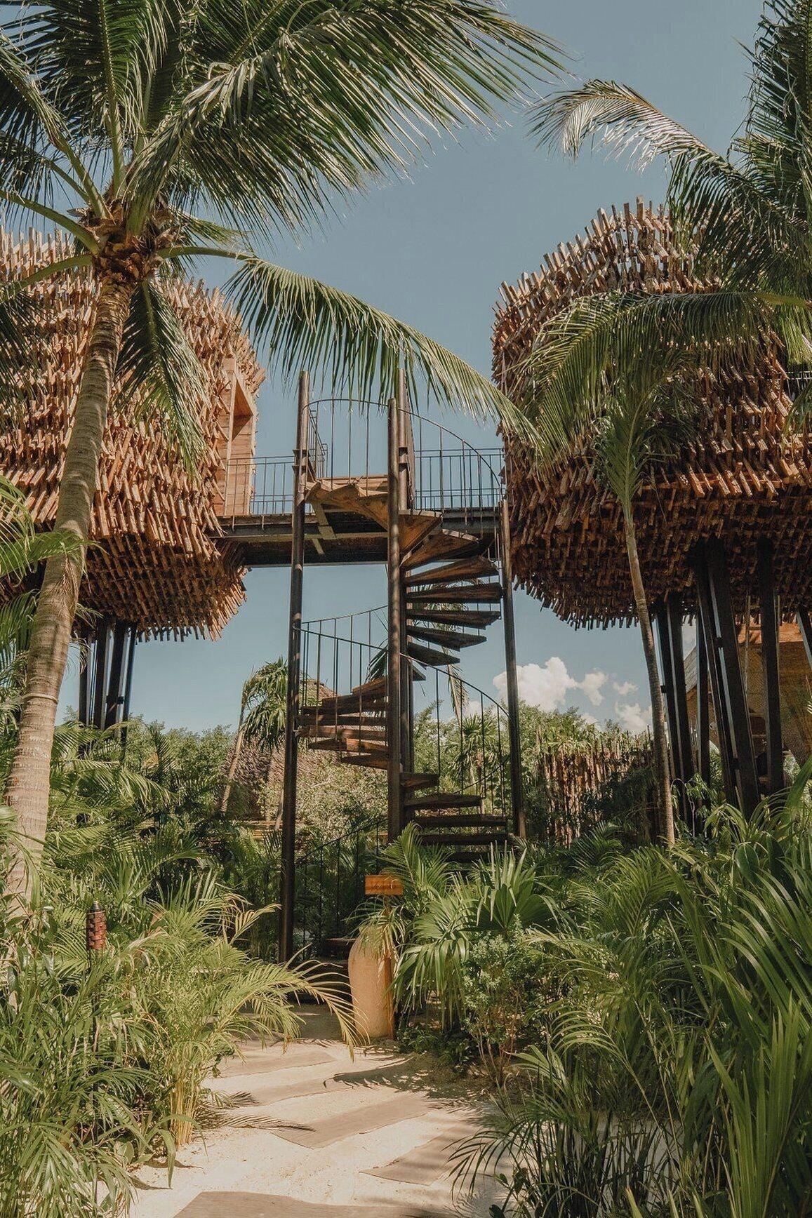 Casa en el árbol (Jungle)