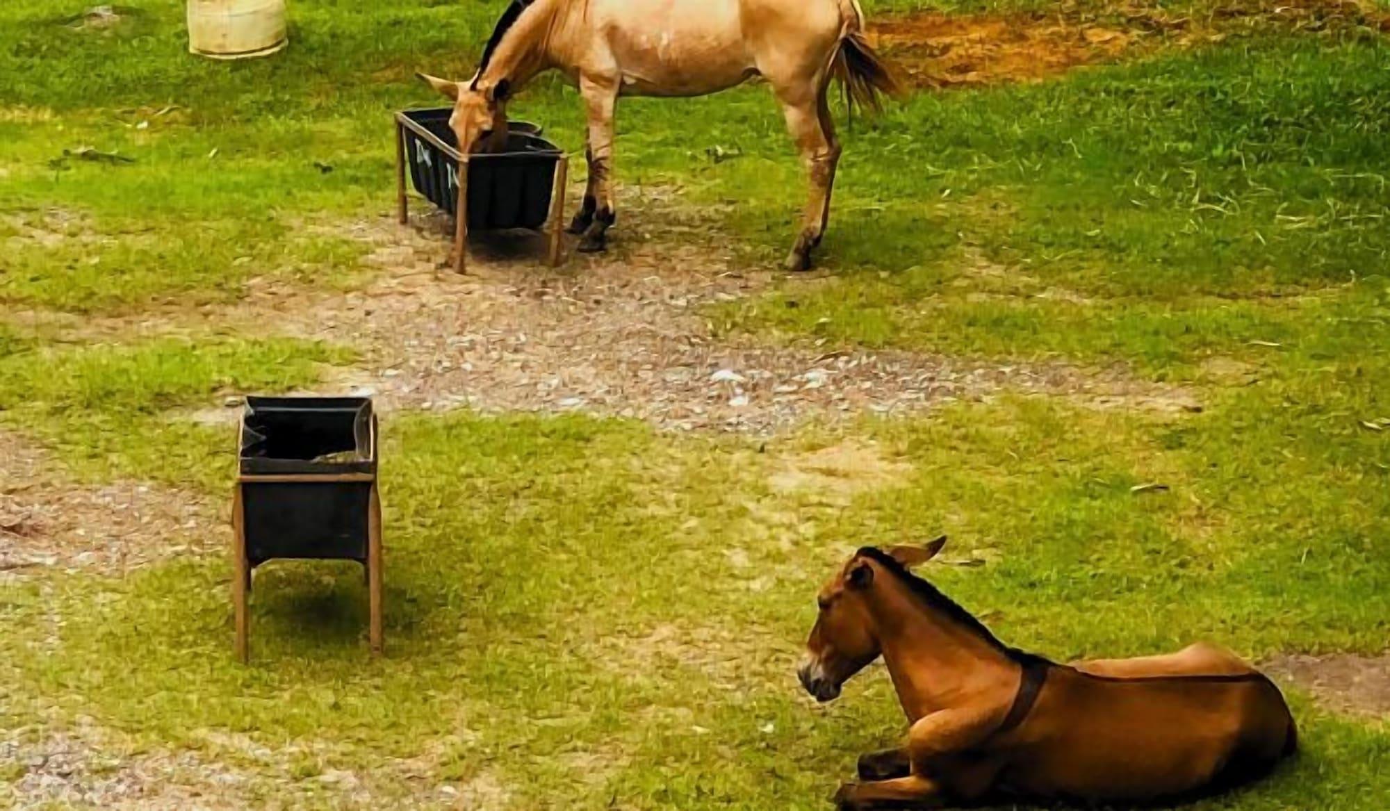 image-housing-carousel