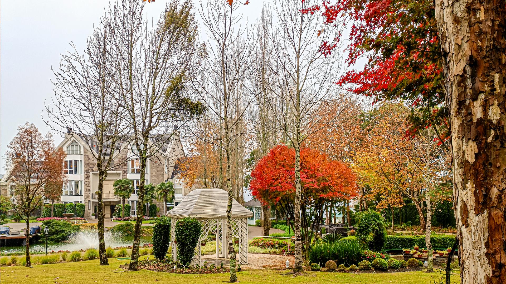 image-housing-carousel