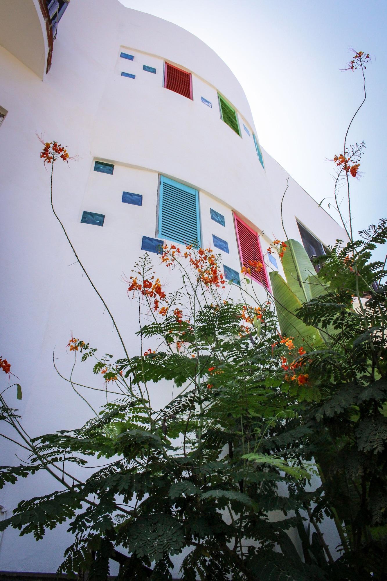Vainilla B&B Mexico 4
