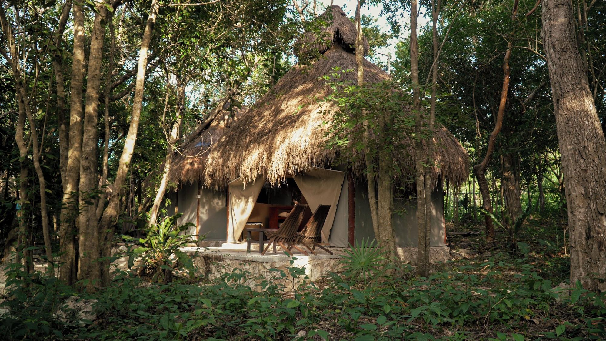 Bungalow estándar, 1 cama King size, terraza, planta baja