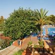 Ola Club Cala Llenya