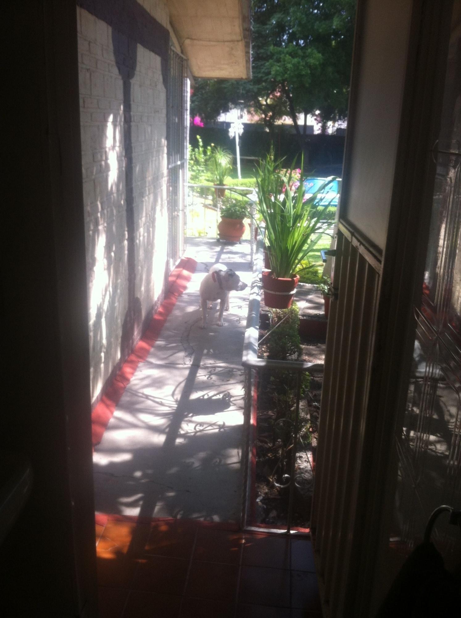 Villa Paraiso 5