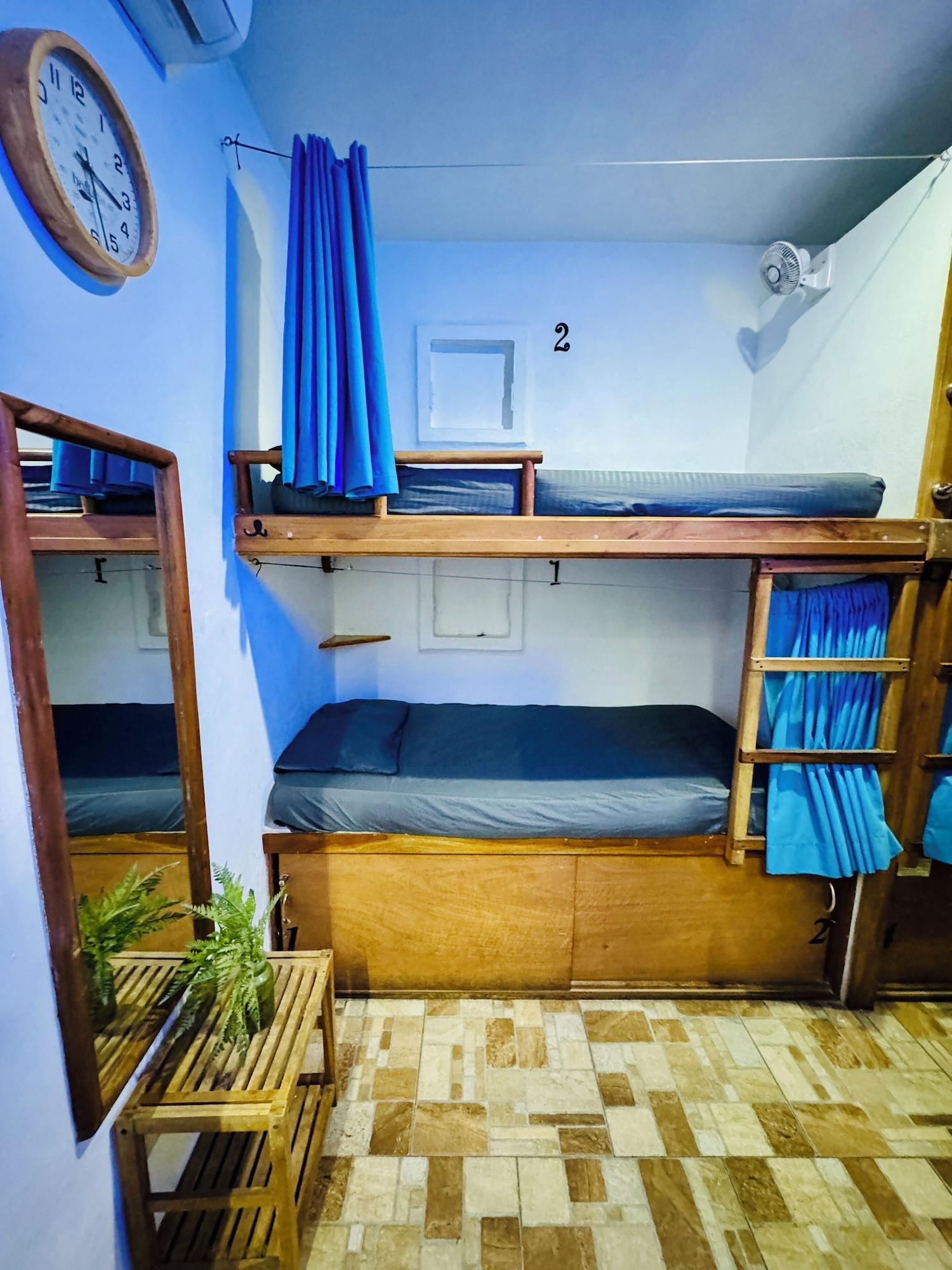 Hostel Natura 6