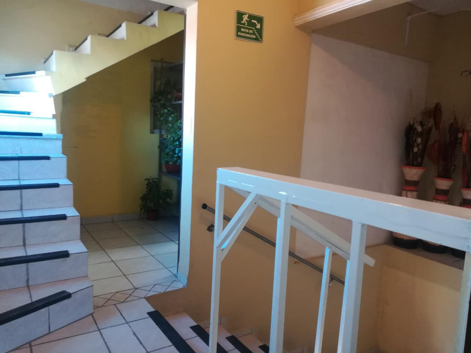 Hotel Paseo 5