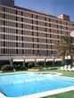 Golden Tulip