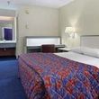 Red Roof Inn Tampa Busch