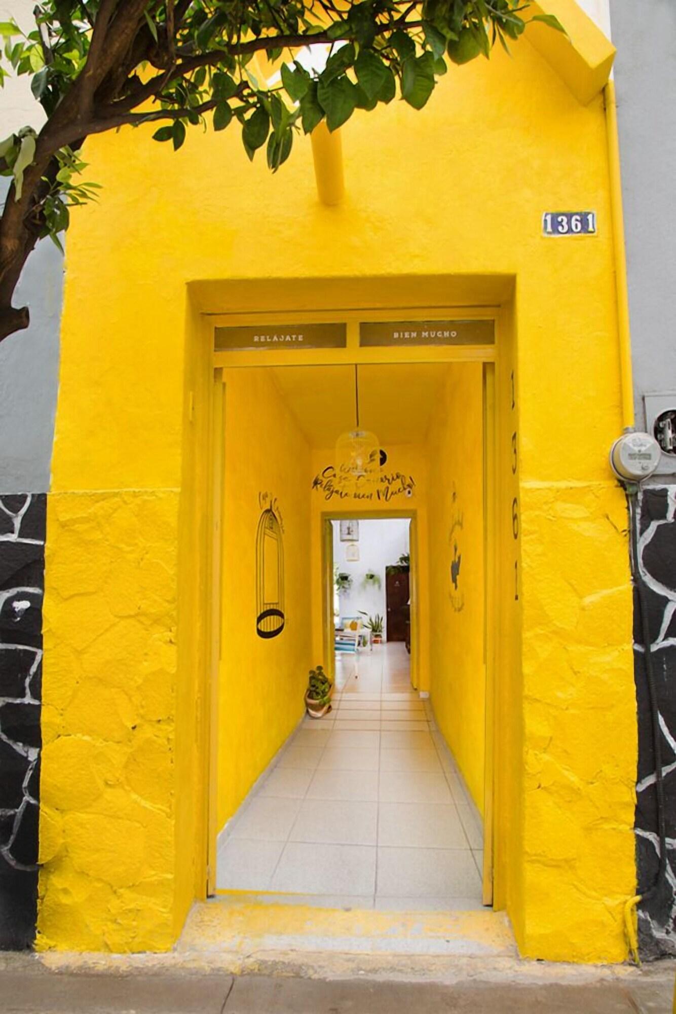 Casa Canario La Americana 3