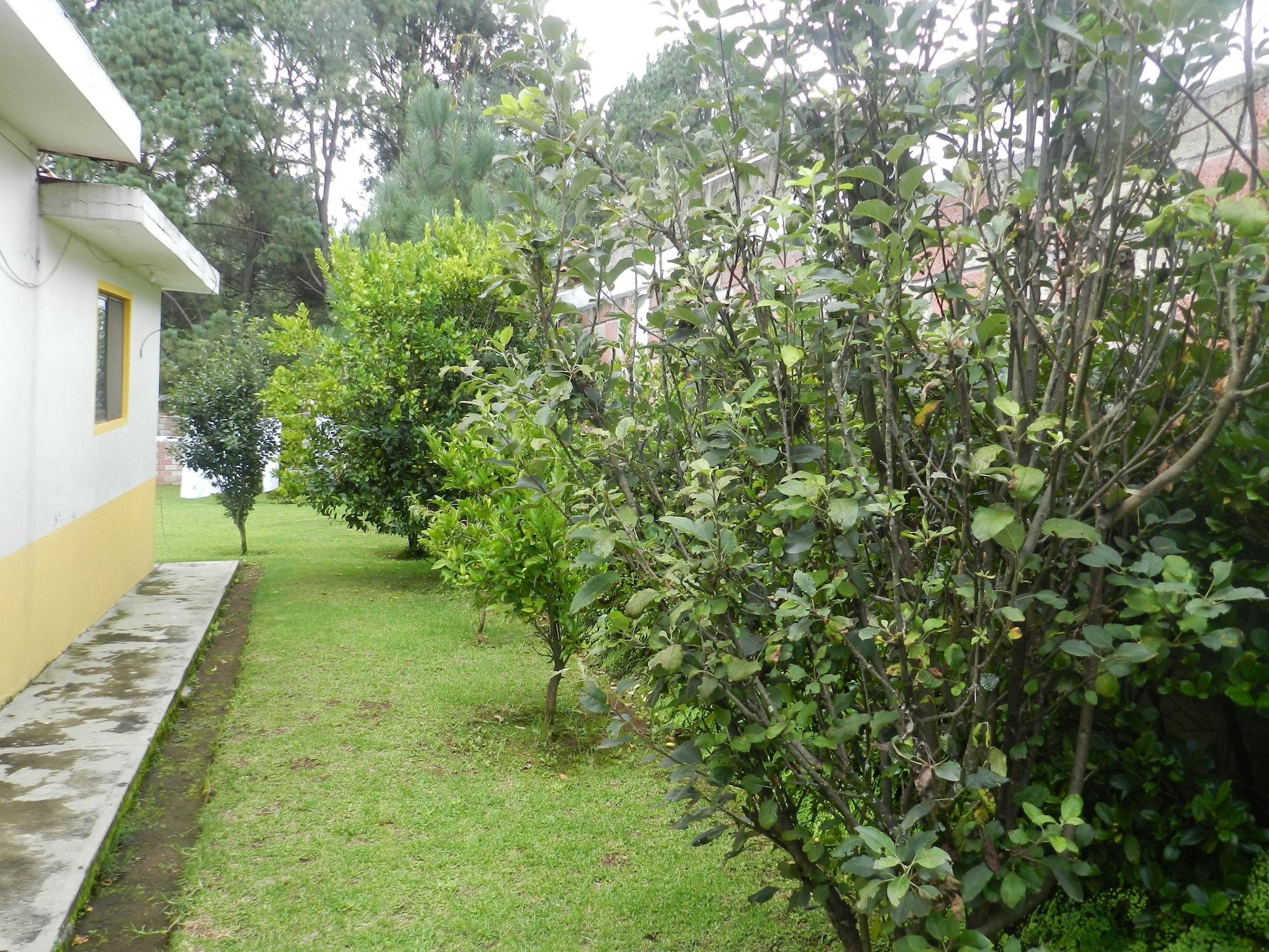 Hotel Finca los Girasoles 4