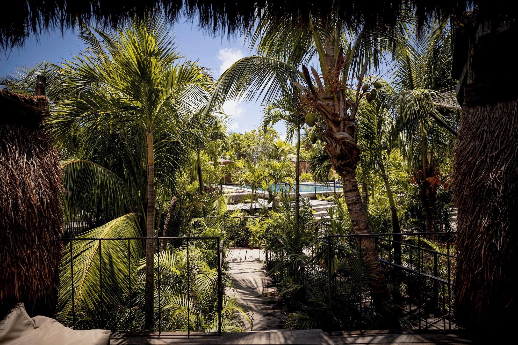 Radhoo Tulum