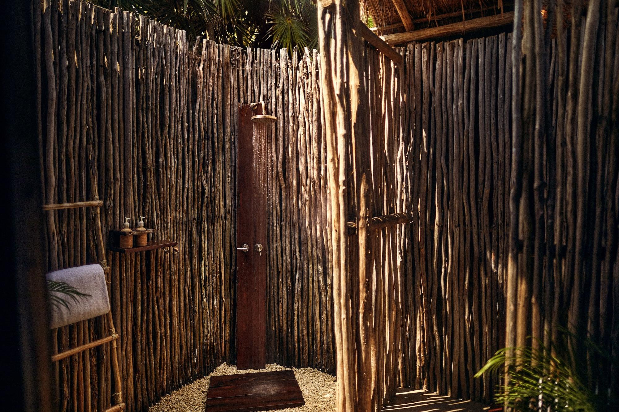 Habitación (Jungle)