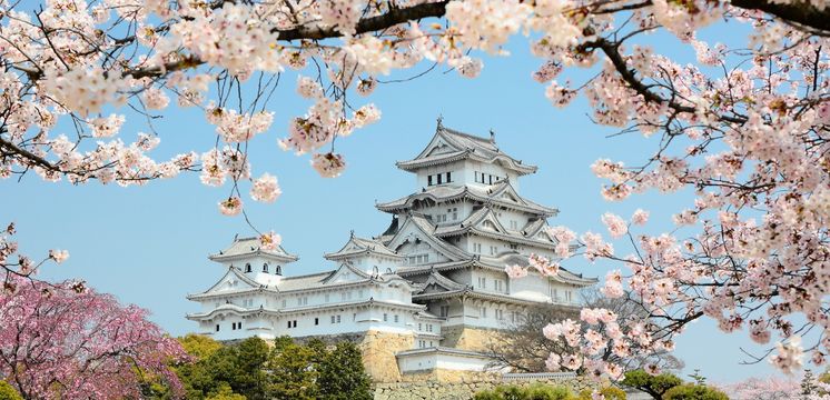 Resultado de imagem para osaka japão turismo