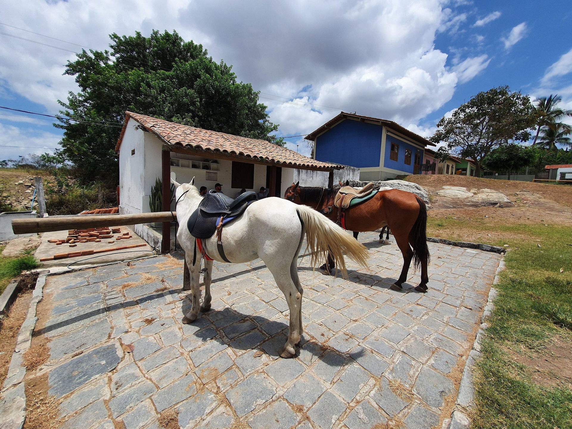 image-housing-carousel