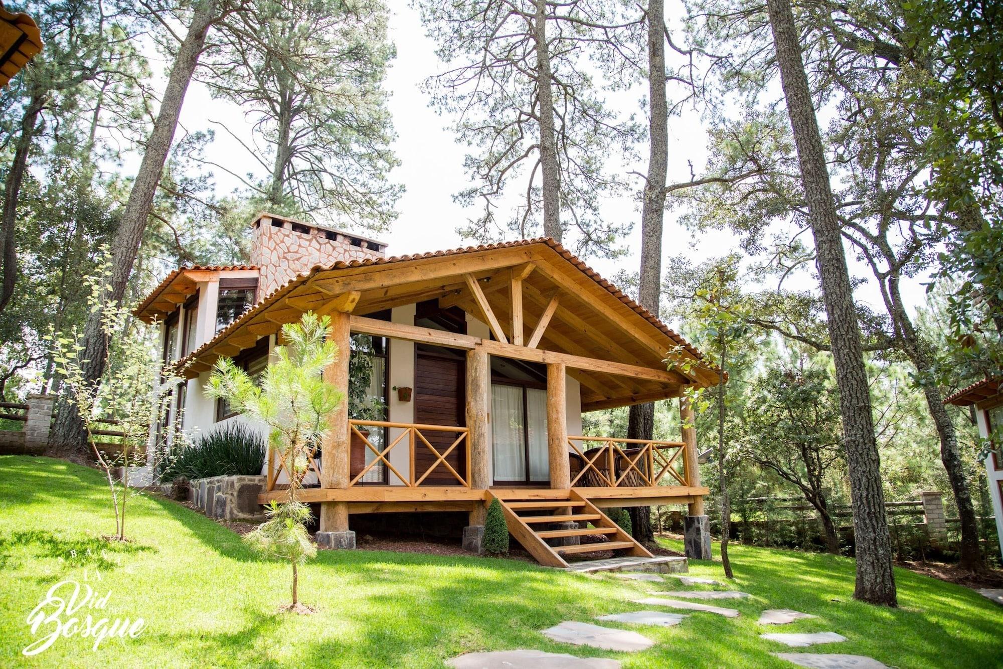 Cabañas La Vid Del Bosque 5