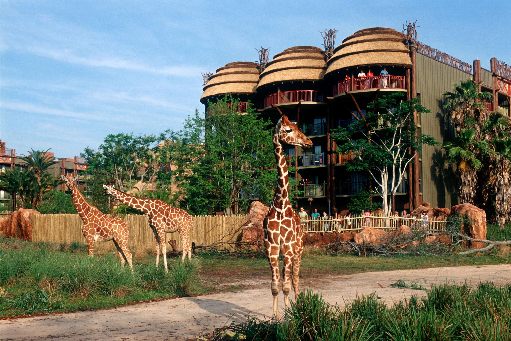 image-housing-carousel
