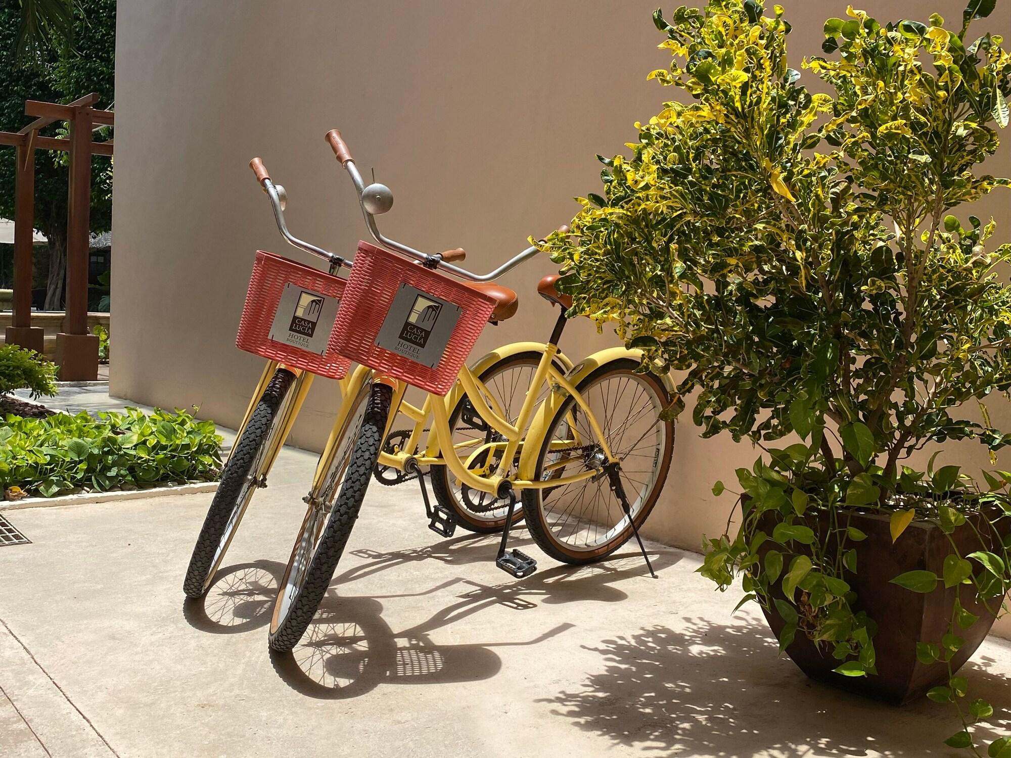 image-housing-carousel