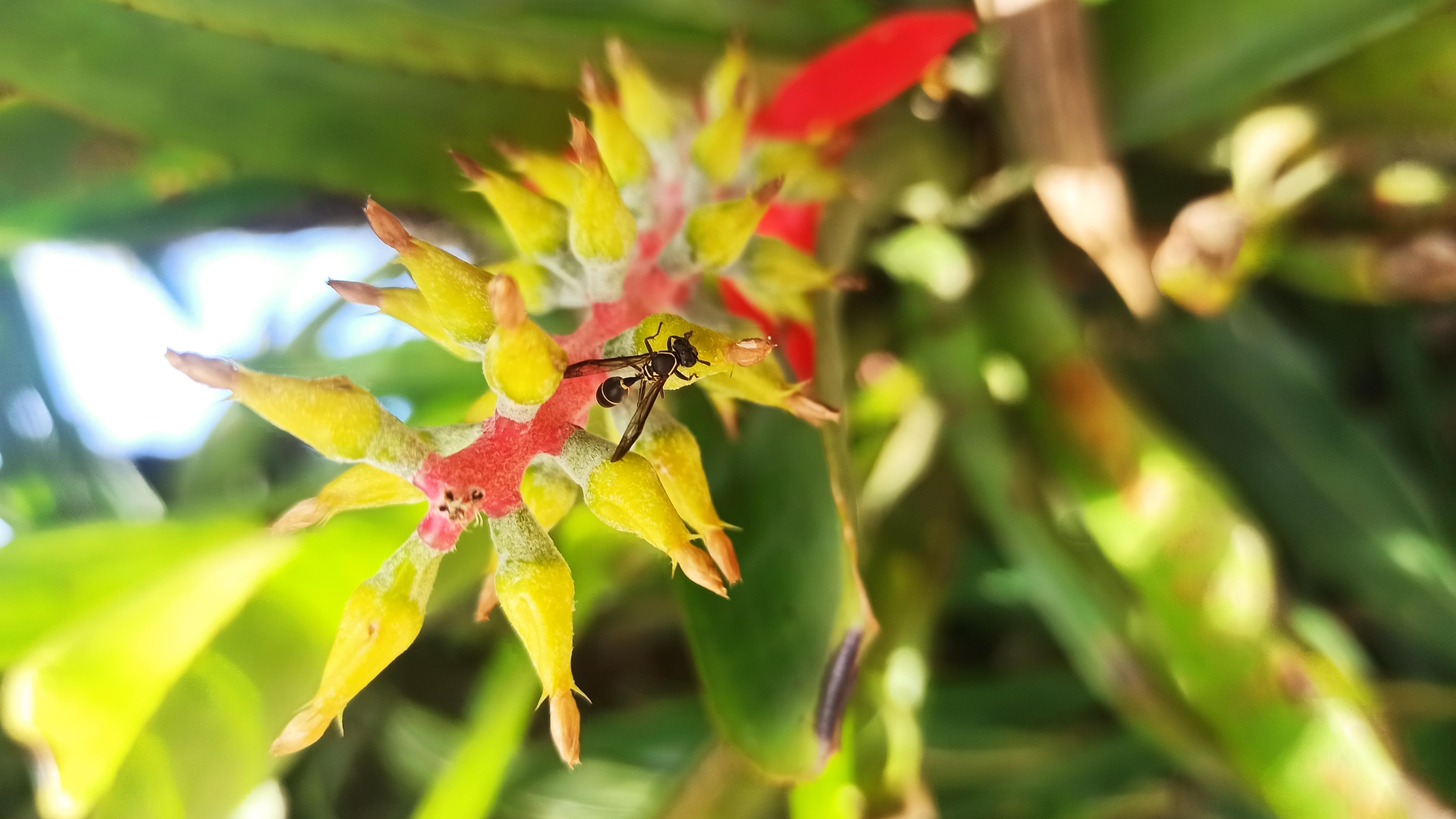 Hotel Natur Campeche - foto 119