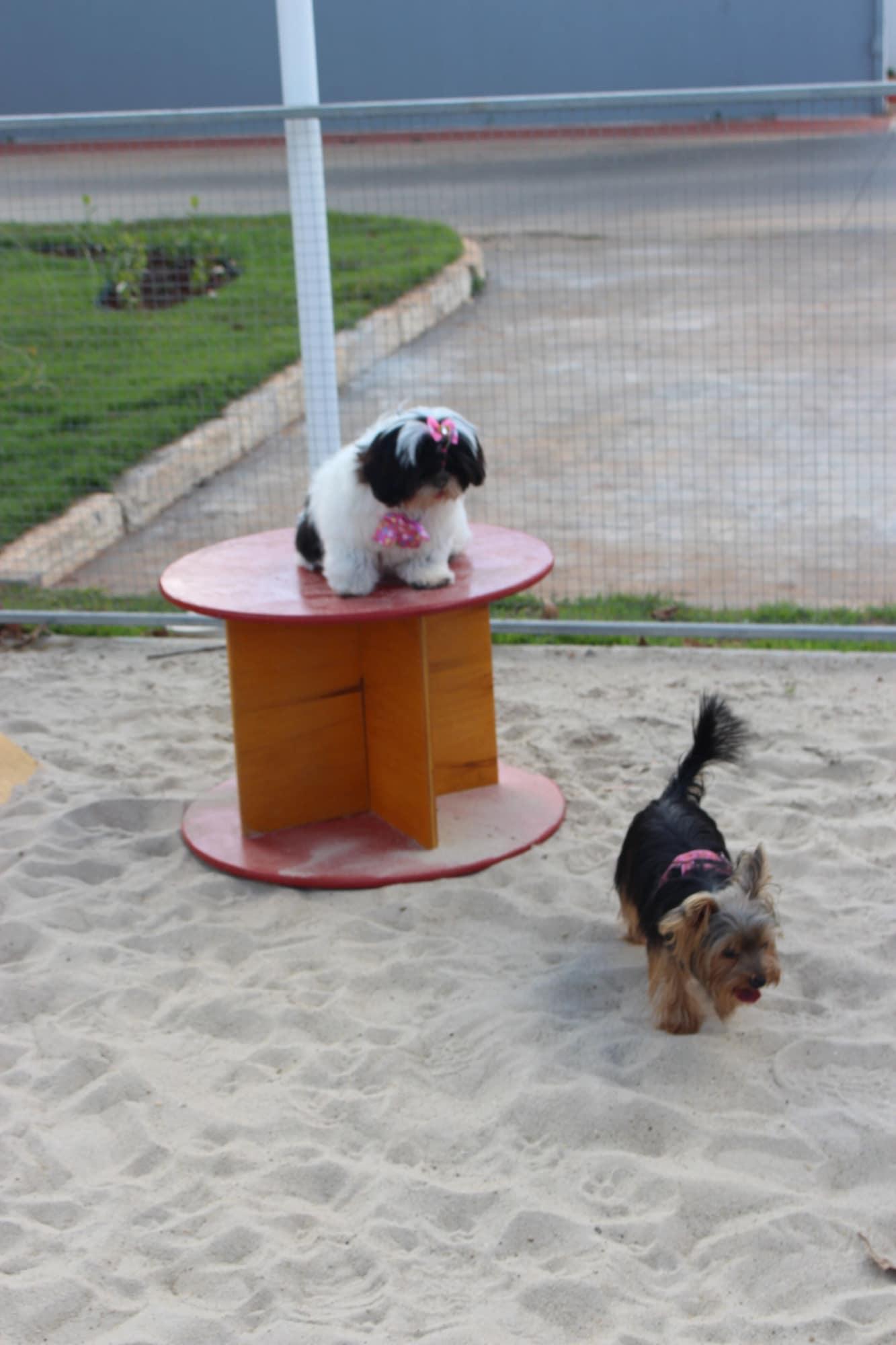 image-housing-carousel