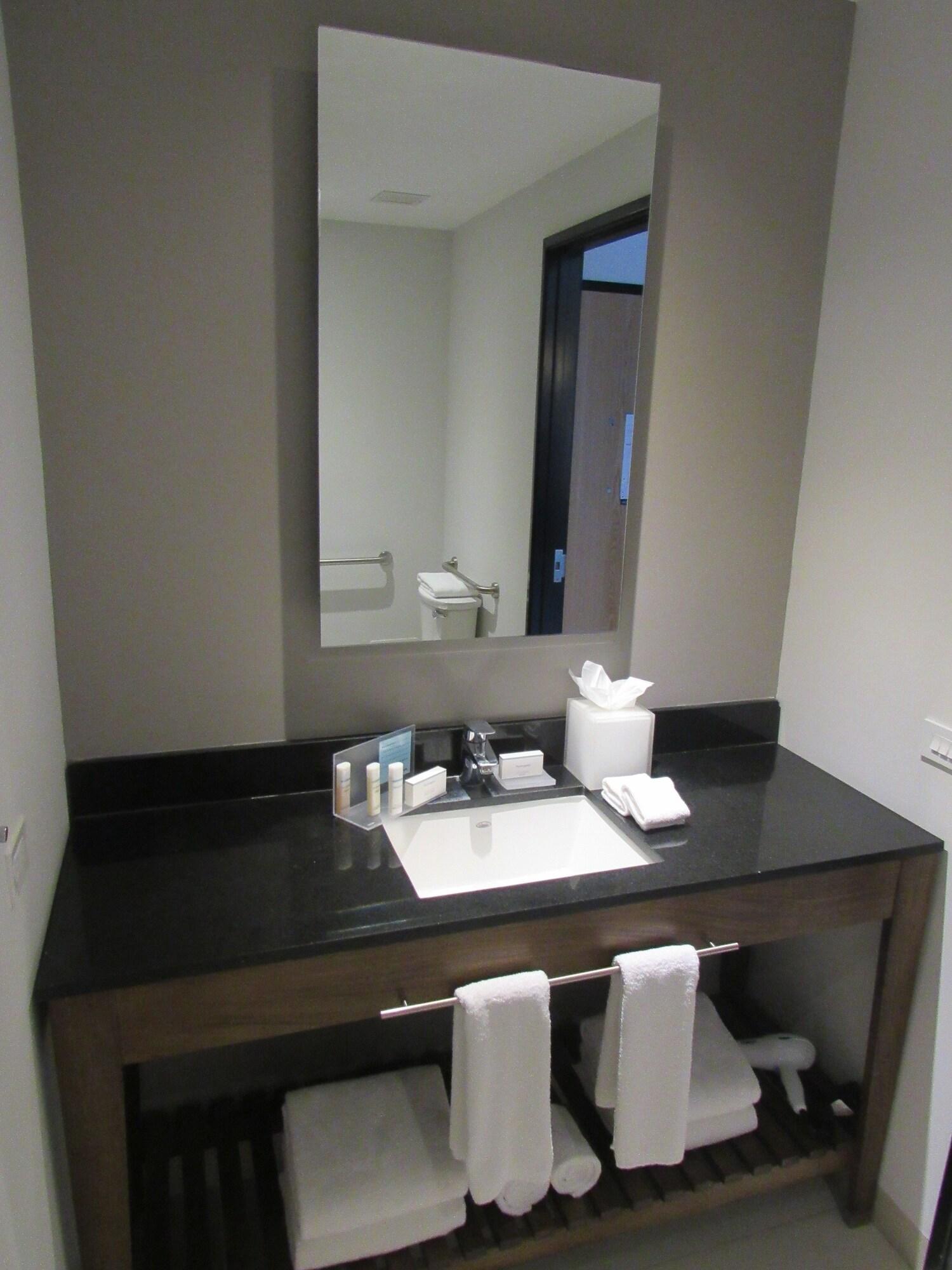 Habitación, 1 cama Queen size, para no fumadores (Mobility & Hearing, Roll-in Shower)