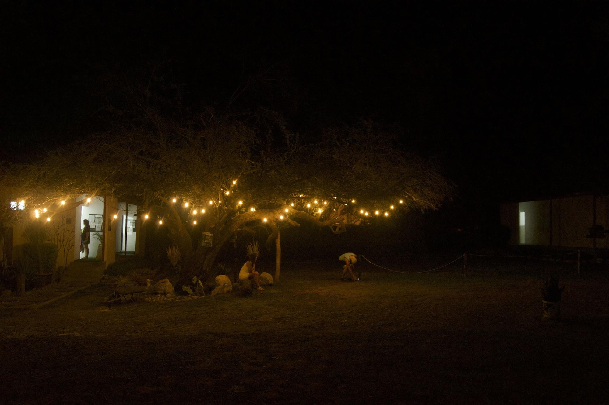 image-housing-carousel
