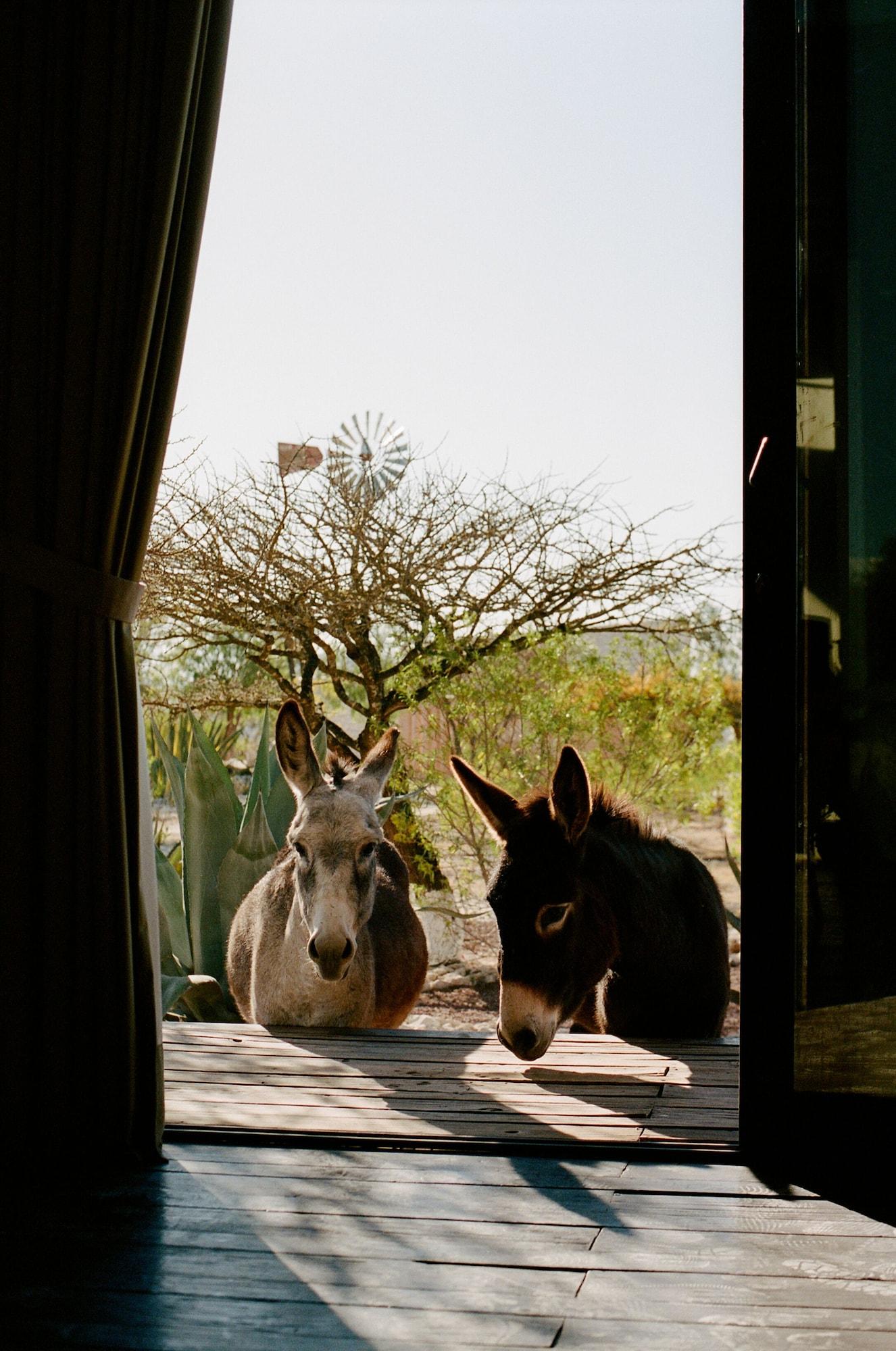 image-housing-carousel
