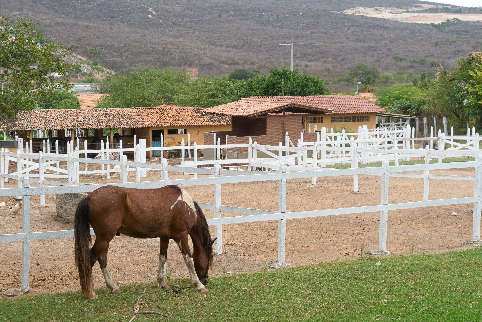 image-housing-carousel