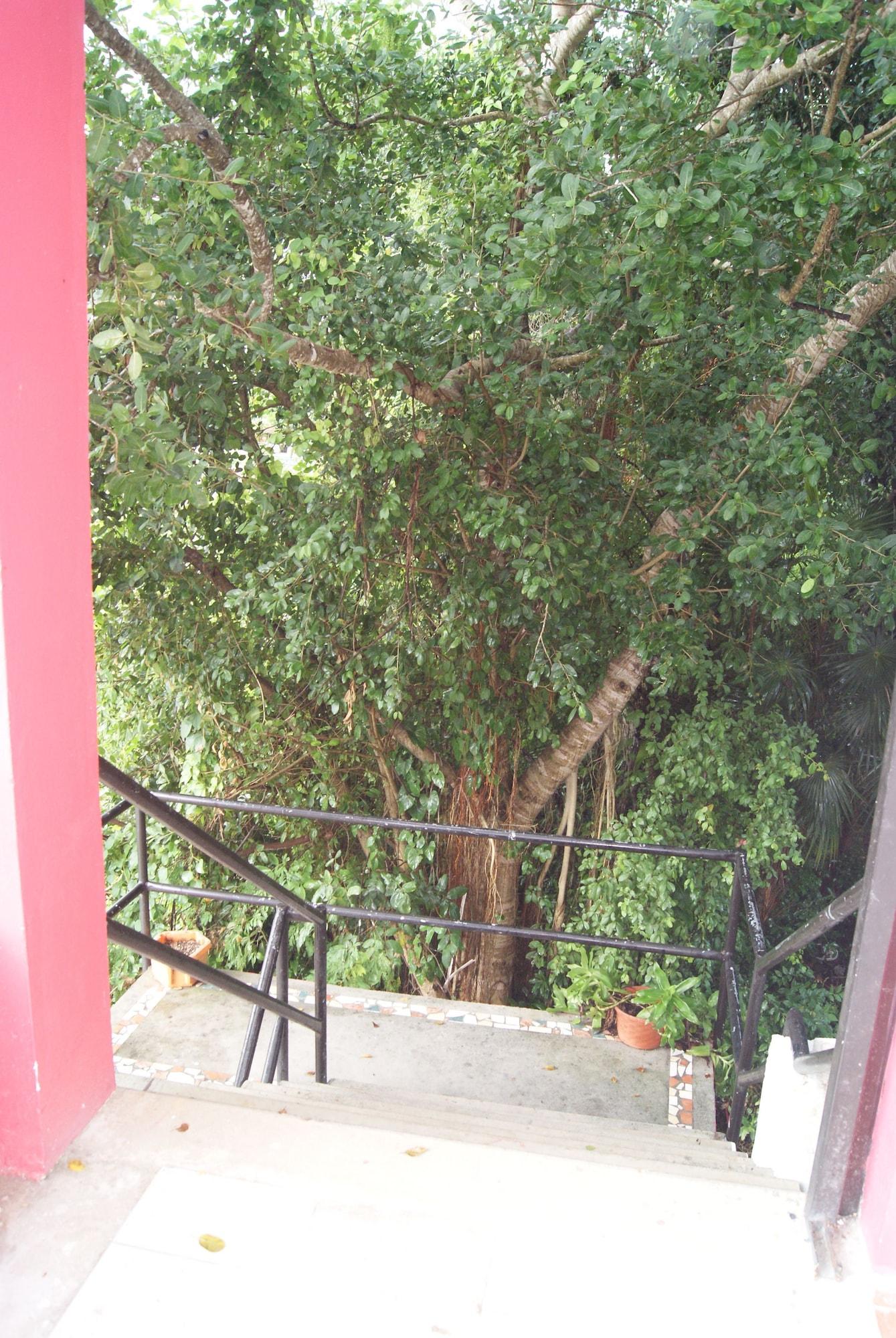 HoteL cAsaiA 4