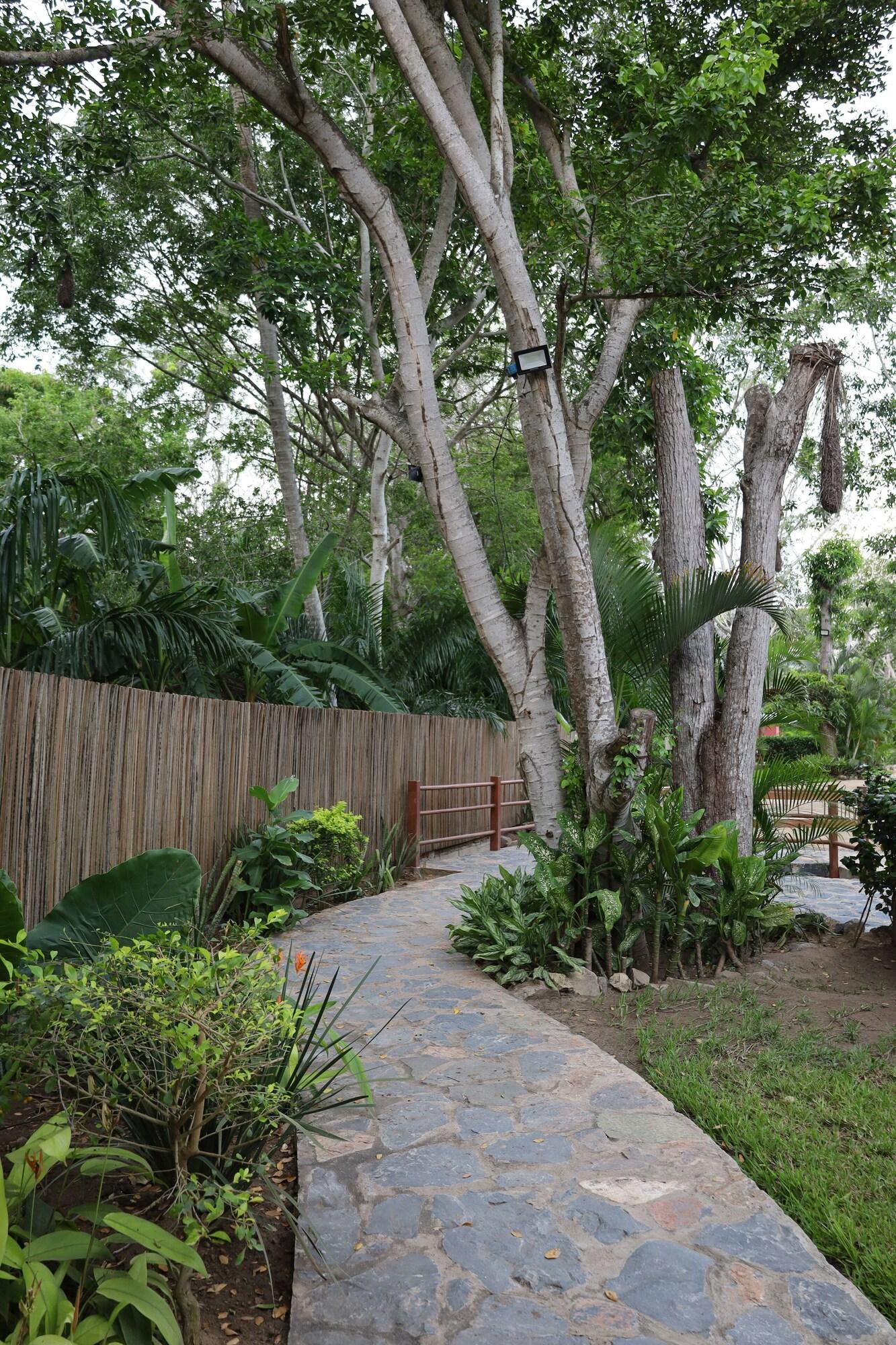 Solez Zihuatanejo 6