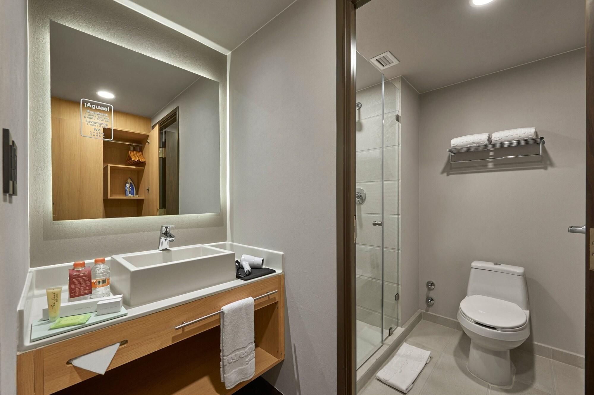 Suite, 1 cama King size con sofá cama, para no fumadores