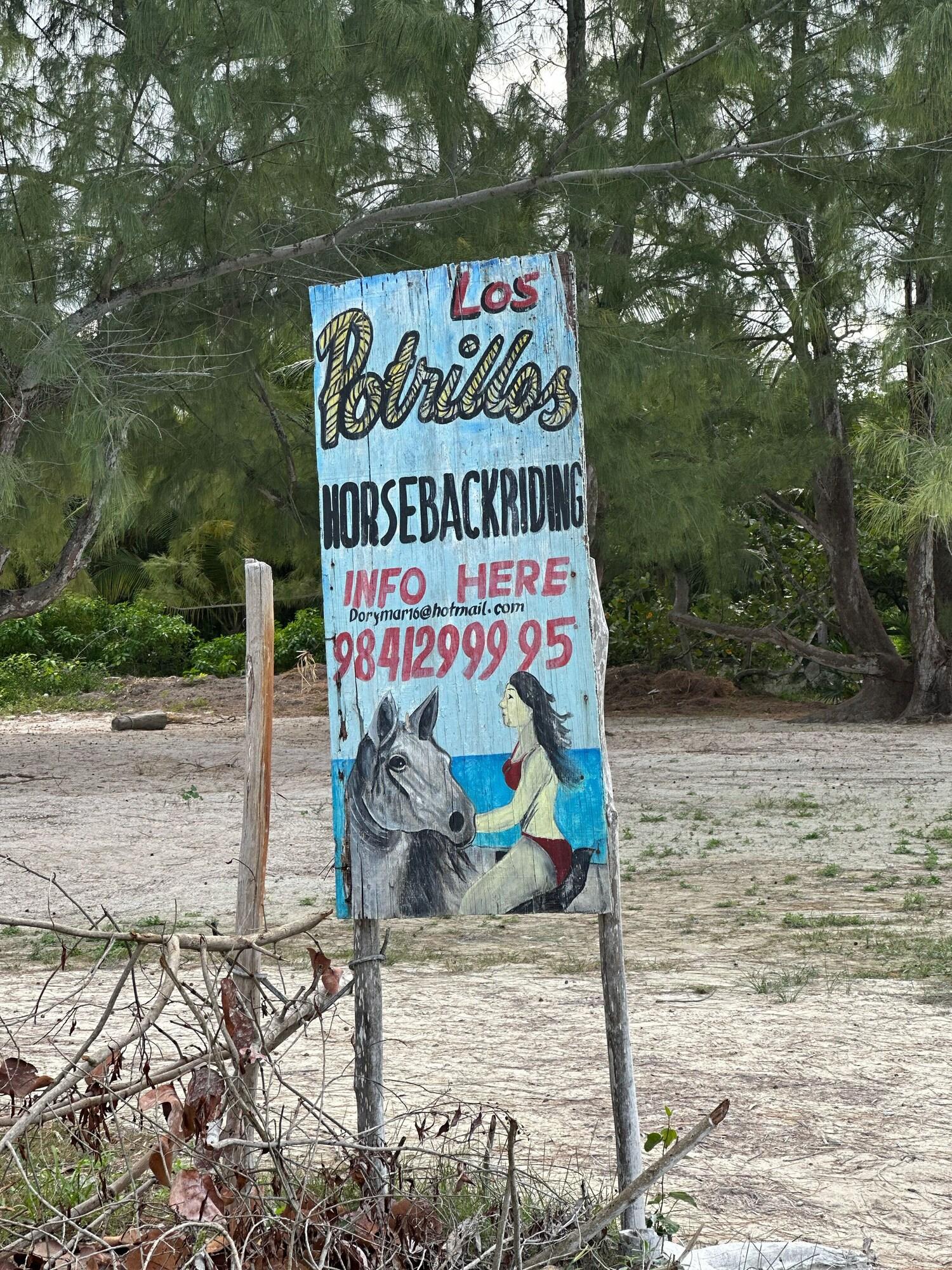 image-housing-carousel